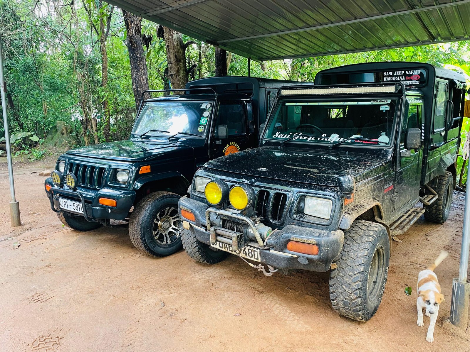 WhatsApp Image 2025-06-17 at 09.19.45