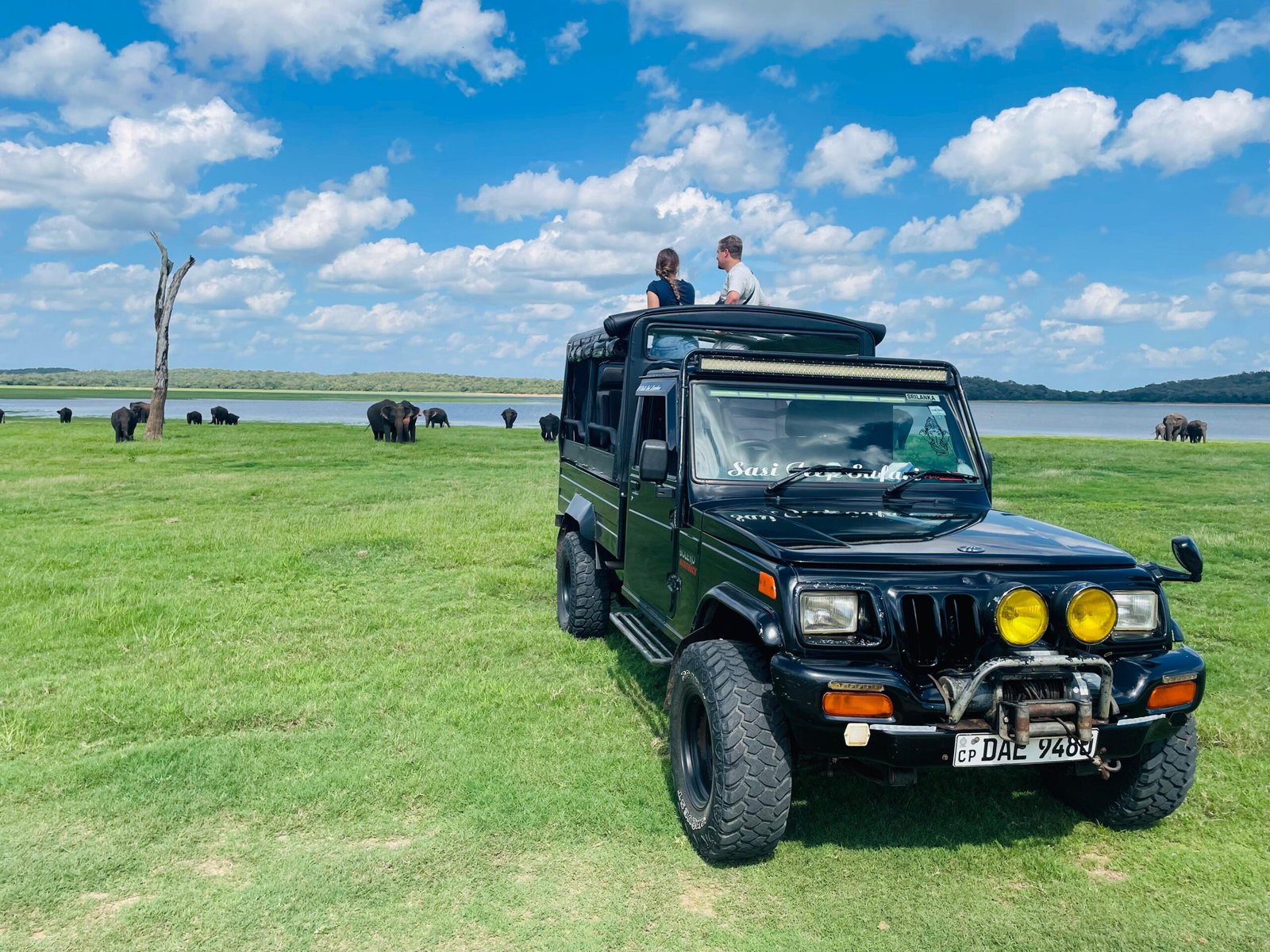 WhatsApp Image 2025-06-17 at 09.19.47